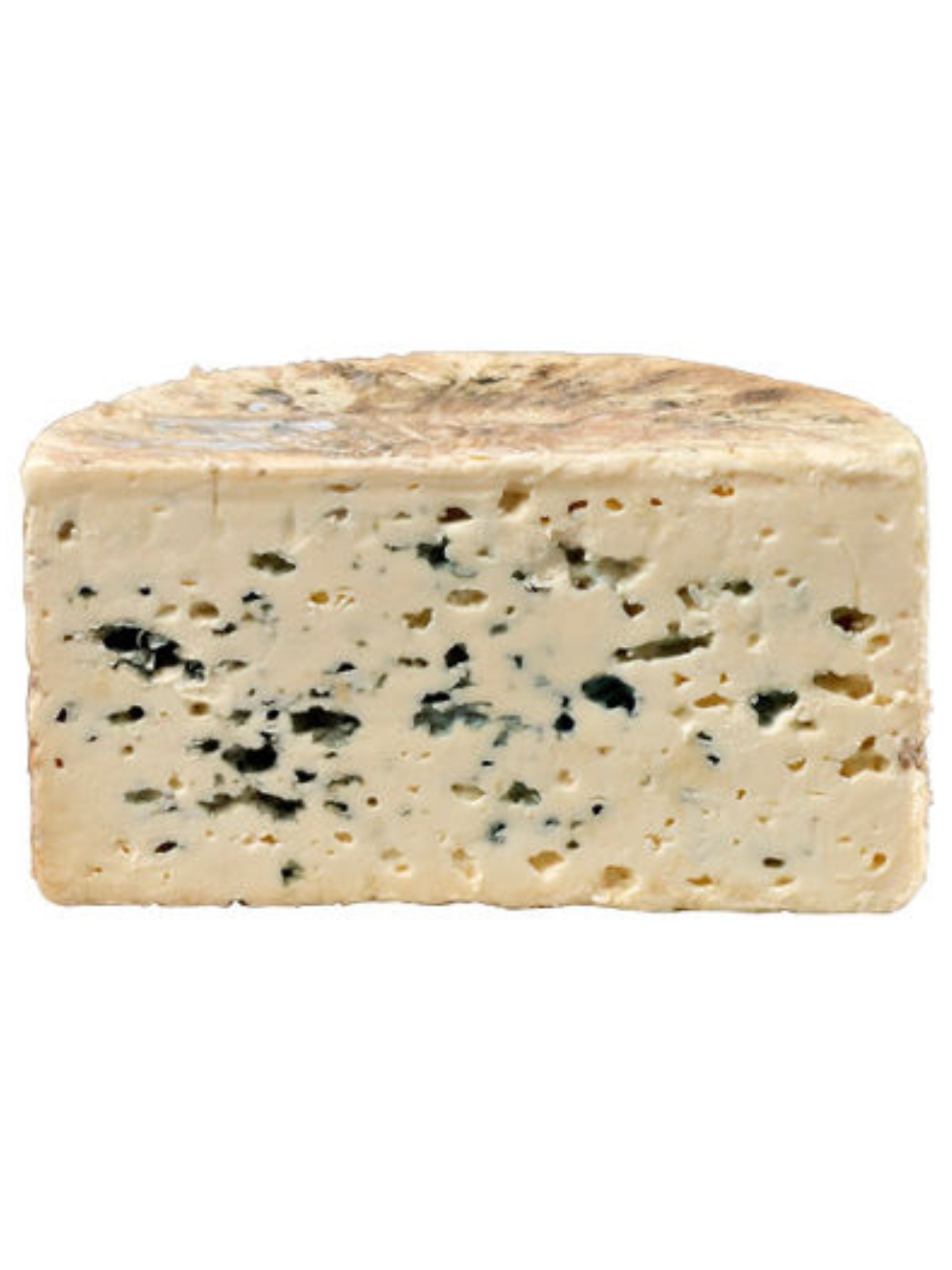 BLEU DES CAUSSES AOP
